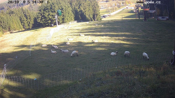 Snímek    20.10.2025 v 14:30