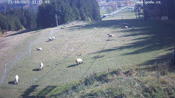 Snímek    21.10.2025 v 11:15