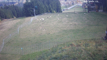 Snímek    21.10.2025 v 13:00