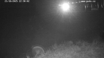 Snímek    21.10.2025 v 22:30