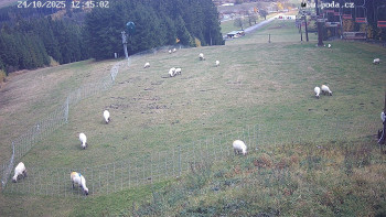 Snímek    24.10.2025 v 12:45