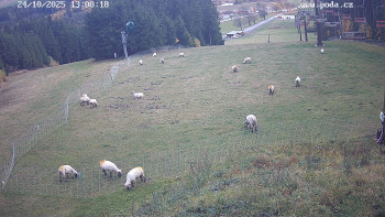 Snímek    24.10.2025 v 13:00
