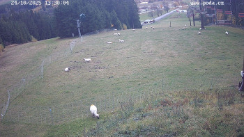 Snímek    24.10.2025 v 13:30
