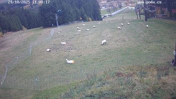 Snímek    24.10.2025 v 14:00