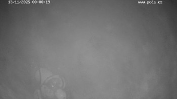 Snímek    13.11.2025 v 00:00