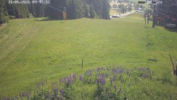 Sjezdovka