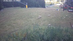 Sjezdovka