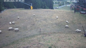 Ski snowpark Harusův kopec - Harusák