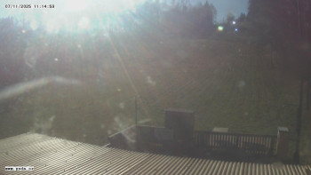 Snímek 7.11.2025 v 11:15