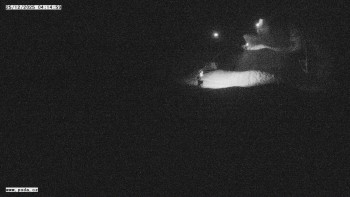 Lyžařský areál Polička -...