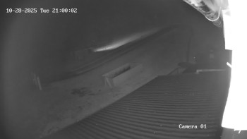 Snímek    28.10.2025 v 20:00