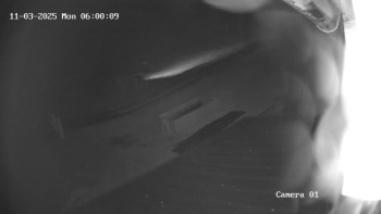 Snímek    3.11.2025 v 05:00