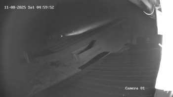 Snímek 8.11.2025 v 05:00