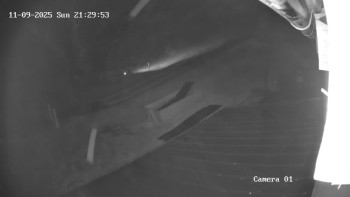 Snímek 9.11.2025 v 21:30