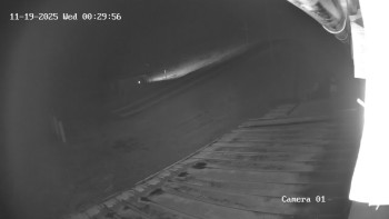 Snímek    19.11.2025 v 00:30