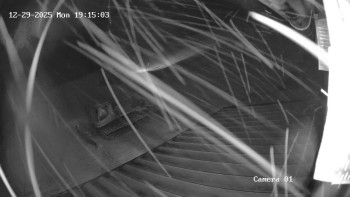 Ski Areál města Meziboří