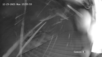 Ski Areál města Meziboří