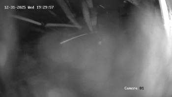 Ski Areál města Meziboří