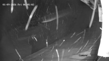 Ski Areál města Meziboří