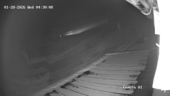 Ski Areál města Meziboří