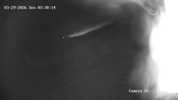 Ski Areál města Meziboří