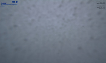 Snímek    24.11.2025 v 10:00