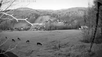 Snímek 8.11.2025 v 06:30