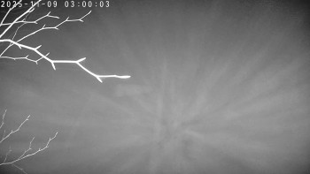 Snímek 9.11.2025 v 03:00