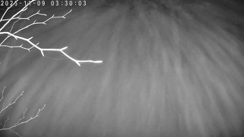 Snímek 9.11.2025 v 03:30