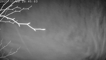 Snímek 9.11.2025 v 20:45