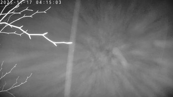 Snímek 17.11.2025 v 04:15