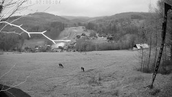 Údolí Dolní Dvůr