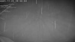 Údolí Dolní Dvůr