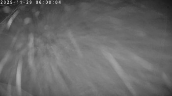 Lyžařský areál Dolní Dvůr