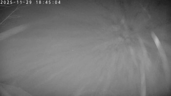 Lyžařský areál Dolní Dvůr