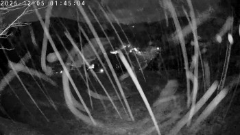 Lyžařský areál Dolní Dvůr