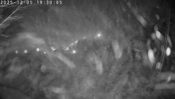 Údolí Dolní Dvůr