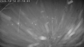 Lyžařský areál Dolní Dvůr