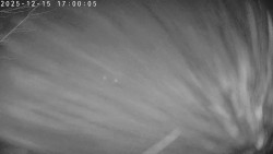 Údolí Dolní Dvůr