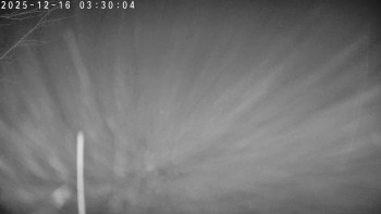 Lyžařský areál Dolní Dvůr