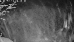 Údolí Dolní Dvůr