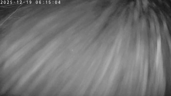 Lyžařský areál Dolní Dvůr