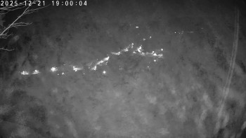 Lyžařský areál Dolní Dvůr