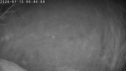 Údolí Dolní Dvůr