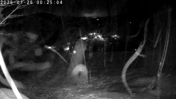 Lyžařský areál Dolní Dvůr