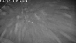 Údolí Dolní Dvůr