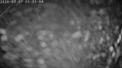 Údolí Dolní Dvůr