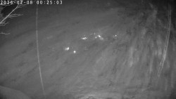 Údolí Dolní Dvůr