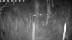 Údolí Dolní Dvůr