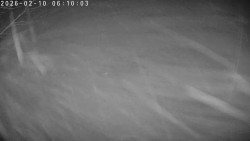 Údolí Dolní Dvůr